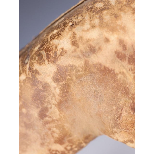Antique Horse Covered in Genuine Horse Hide with Glass Eyes, 1890 For Sale - Image 10 of 16