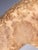 Antique Horse Covered in Genuine Horse Hide with Glass Eyes, 1890 For Sale - Image 10 of 16