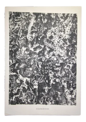 Jean Dubuffet - the Fruits of the Earth - Original Lithograph - 1959