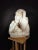 19th Century Italian Marble Sculpture, 1880s For Sale - Image 10 of 12