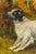Nice Antique Framed Oil Painting Dog Country Hunting Scene Artist Signed Home Wall Decor For Sale - Image 4 of 18