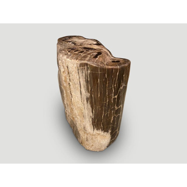 Andrianna Shamaris Ancient Petrified Wood Side Table For Sale In New York - Image 6 of 6