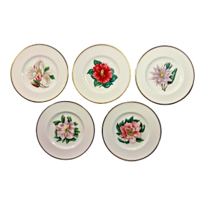 Circa 1940s Royal Worcester Bone China Hand Colored Dinner Plates- Set of 5