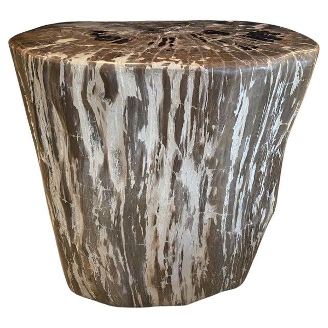 Impressive beautiful contrasting tones and textures in this ancient petrified wood side table. It’s fascinating how Mother...