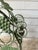 1980s Vintage Green Metal Grapevine Scroll 10-Bottle Large Wine Holder Rack For Sale In Dallas - Image 6 of 8