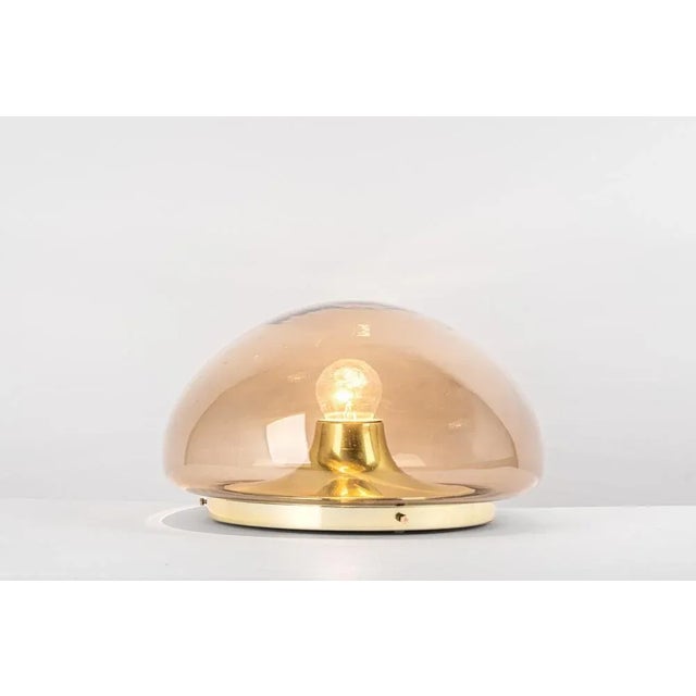 Metal Mid-Century Modern Smoked Glass Flush Mount from Limburg, Germany, 1970s For Sale - Image 7 of 11