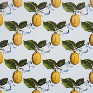 Schumacher x Johnson Hartig Le Citron Wallpaper in Sky For Sale