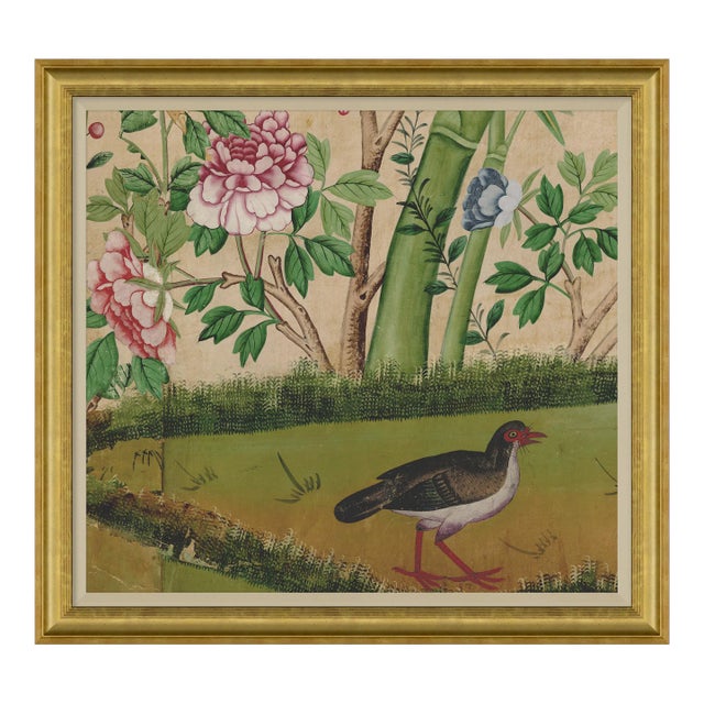 Delfern III Framed Art Print by David Phoenix For Sale