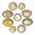 MCM Gumps Capiz Bowls and Scalloped Shell Dishes Catchalls and Trays - A 9 Piece Set For Sale