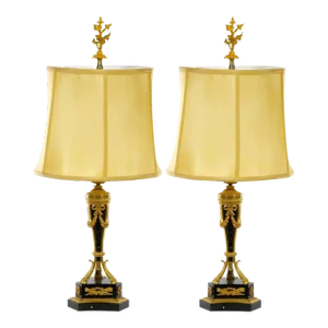 19th Century French Bronze Mounted / Black Marble Pair Table Lamp