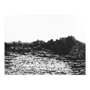 Nature's Way - Large Black and White Monochromatic Abstract Landscape Painting Original Artwork by Clara Berta
