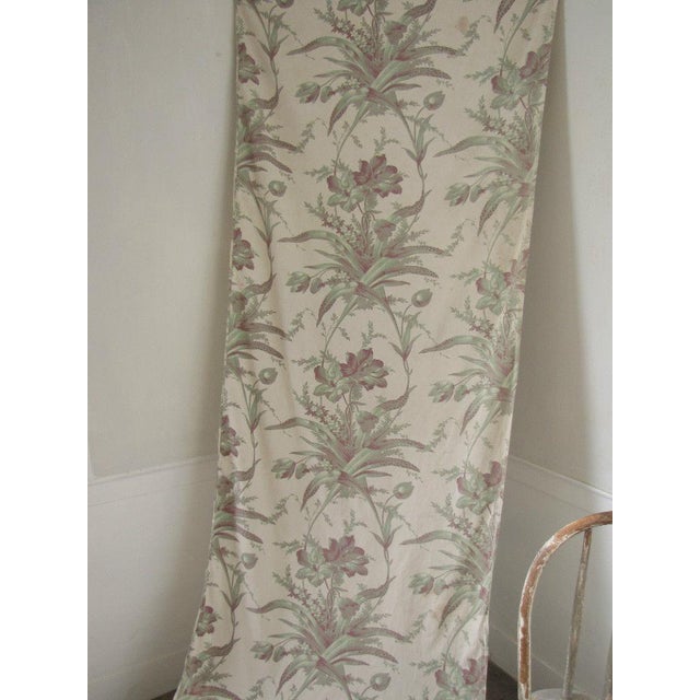 Antique 19th C French Pale Green Floral Botanical Fabric 1 41