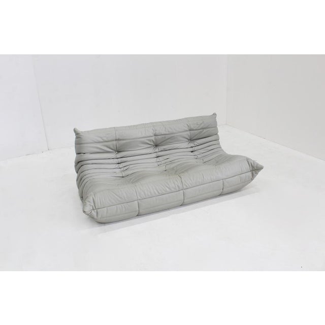 Vintage Togo 3-Seater Sofa in Grey Leather by Michel Ducaroy for Ligne Roset, 2015 For Sale - Image 3 of 10