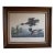 Mid-Century Lithograph of Audubon's "Red Breasted Merganser," in Dark Wood Frame For Sale