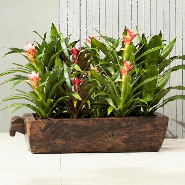 1950s Antique Reclaimed Wood Planter | Handcrafted Large Wooden Dough Bowl Centerpiece For Sale - Image 5 of 5