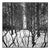 Paul Cooklin, Treeline, Beccles, Suffolk 2013, Edition of 50 For Sale