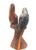 Hand-Carved Hardwood Macaw Parrot Sculpture Vintage 1970s - Peruvian For Sale In San Diego - Image 6 of 14