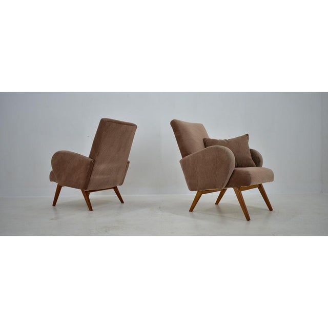 Set of Armchairs from Up Závody, 1950s For Sale - Image 14 of 15
