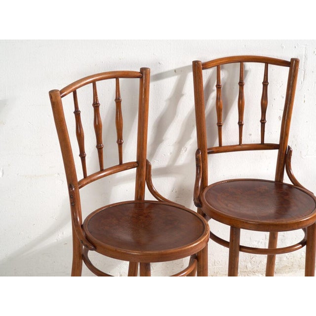 Early 20th Century Bentwood Chairs in the style of Thonet, Central Europe, 1930, Set of 4 For Sale - Image 5 of 17