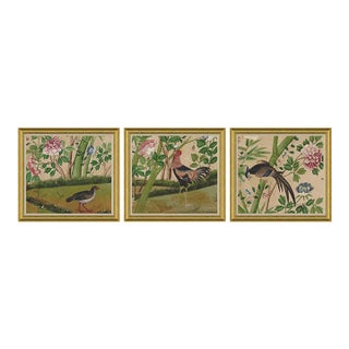 Delfern III, IV & V Framed Art Prints - Set of 3 by David Phoenix For Sale