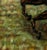 Horses an artwork realized by an unknown artist, in 1991. Oil on Canvas. Handsigned in the lower margin. Unreadable...
