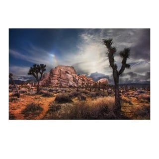 24" Signed Limited Edition Photographic Print by Glenn Daidone / Desertscape / Landscape / "Storm Just Passed" For Sale