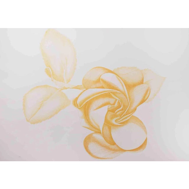 Yellow Rose is an original modern artwork realized by the Italian artist Giacomo Porzano (1925-2006) in 1972. Mixed...