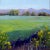 "Carson Valley Morning" Contemporary Landscape Oil Painting For Sale