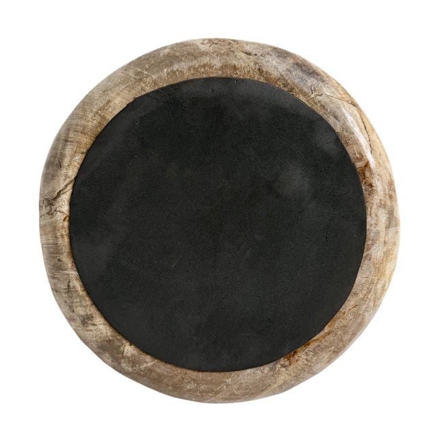 Wood Vintage Petrified Wood Organic Modern Decorative Bowl For Sale - Image 7 of 8