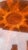 Baker Furniture Round Mahogany Sunburst Inlaid Center Table For Sale - Image 12 of 14