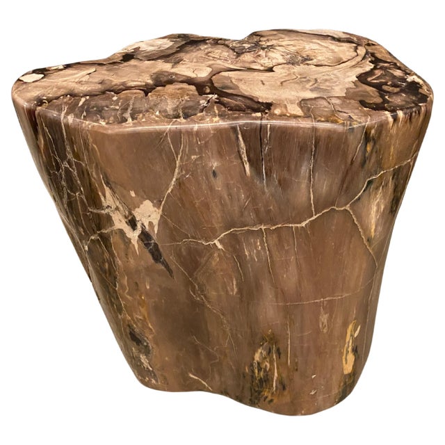 Beautiful earth tones in this petrified wood side table. It’s fascinating how Mother Nature produces these exquisite 40...