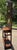 Late 19th Century Antique European Hall Tree With Center Mirror, Glove Box and Umbrella Stands For Sale - Image 5 of 11