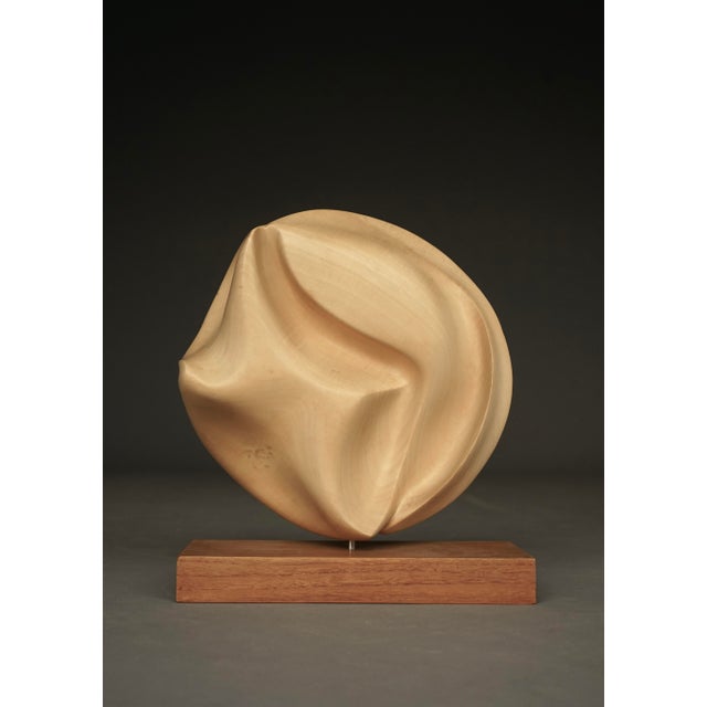 Carved Applewood Abstract Sculpture, 1980s For Sale - Image 12 of 12