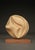 Carved Applewood Abstract Sculpture, 1980s For Sale - Image 12 of 12