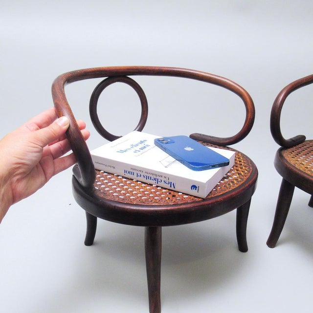 Brown Set of Bentwood Childrens Chairs attributed to Michael Thonet for Gebrüder Thonet, 1890s For Sale - Image 8 of 9