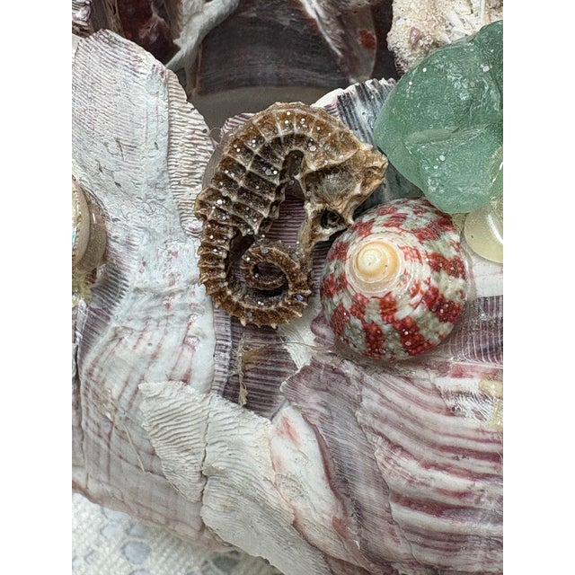 Large seaside decor cluster of encrusted natural barnacle with sea glass, freshwater pearls, tiny real seahorse, and...