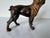 Mid-Century Modern Antique Late 19th Century Cast Iron Boston Terrier Doorstop For Sale - Image 3 of 12