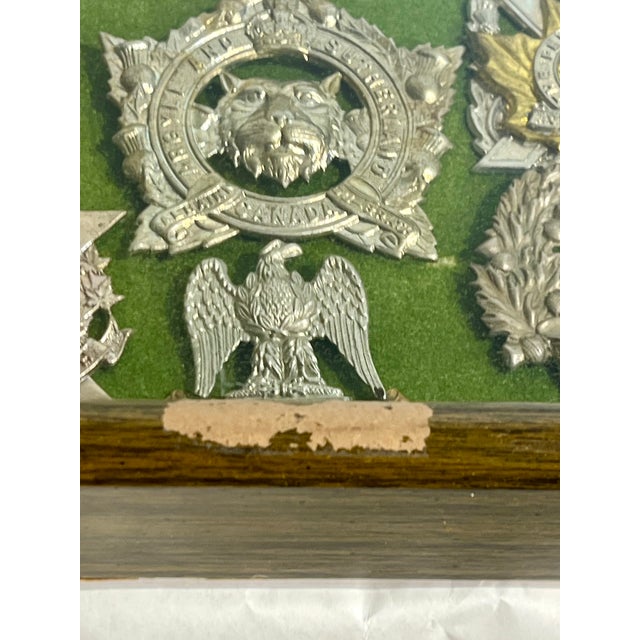 Late 19th Century Antique Victorian Shadow Box Framed Set of 29 Scottish Military Regimental Badges For Sale - Image 5 of 18