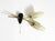 A very rare mid-century modern wall lamp featuring brass construction and painted glass shades. a beautiful design,...