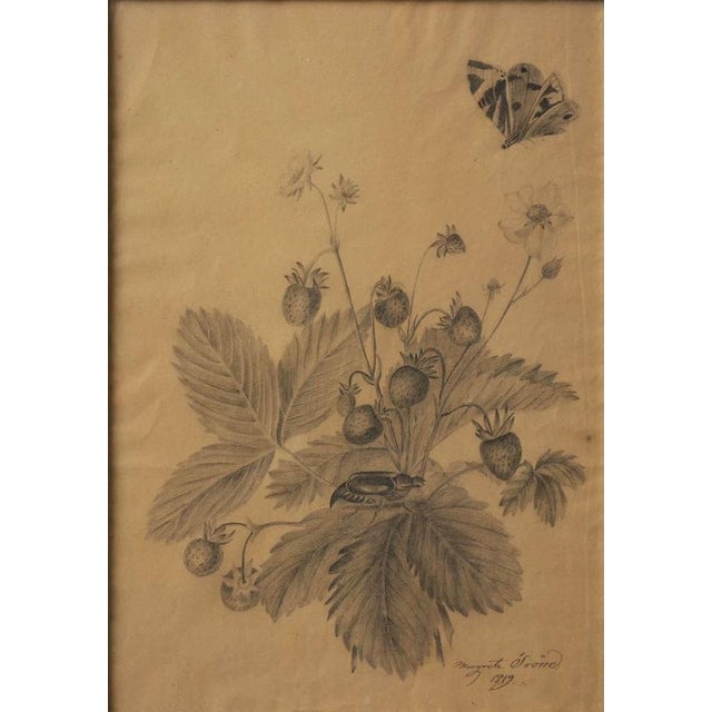 Margaret Trone, Swedish Empire Flower, Paper, Framed, Set of 2 For Sale - Image 13 of 14