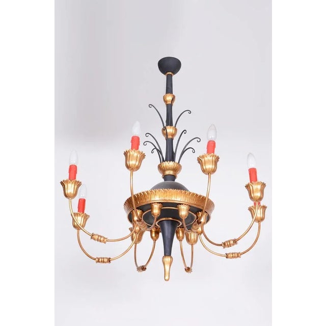 Empire Chandelier in Carved Pear, Steel & Gold Leaves, Austria, 1800s For Sale - Image 13 of 13