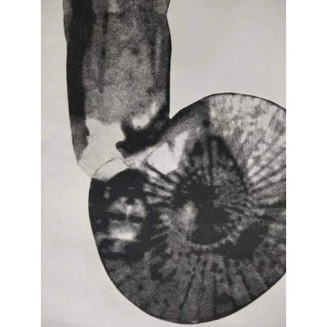 2000 - 2009 Emma Calvino, The Girl's Walk, 2003, Lithograph For Sale - Image 5 of 8