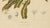 Berthe Hoola van Nooten, Garden Croton (Joseph's Coat), 1880, Chromolithograph For Sale - Image 4 of 9