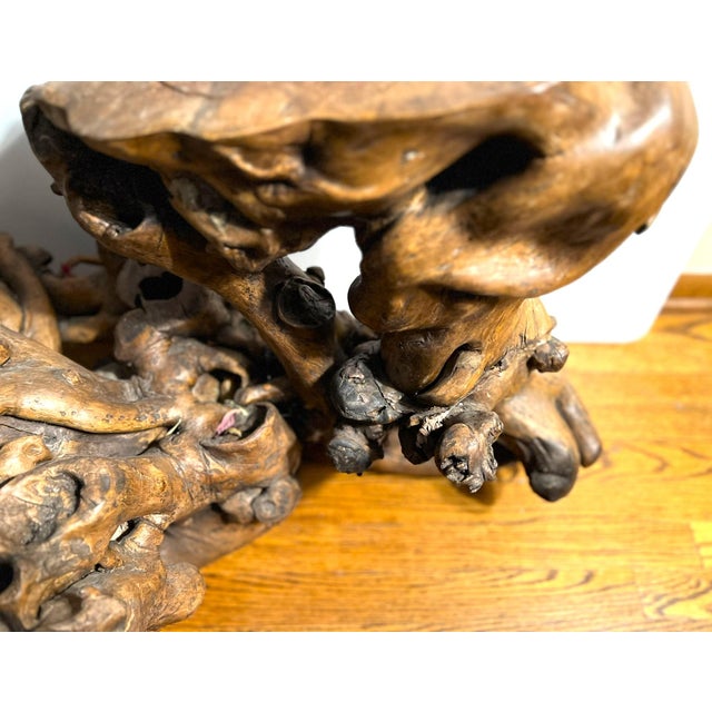 Large Root Plant Stand With Embedded Rocks For Sale - Image 11 of 12
