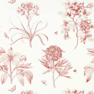 Sanderson Etchings & Roses Wallpaper in Amanpuri Red For Sale
