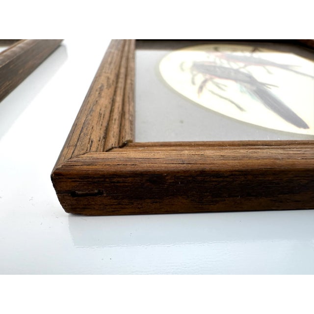 1960s Vintage Mid Century Italian Small Wood Framed Bird Prints, a Pair For Sale - Image 5 of 11