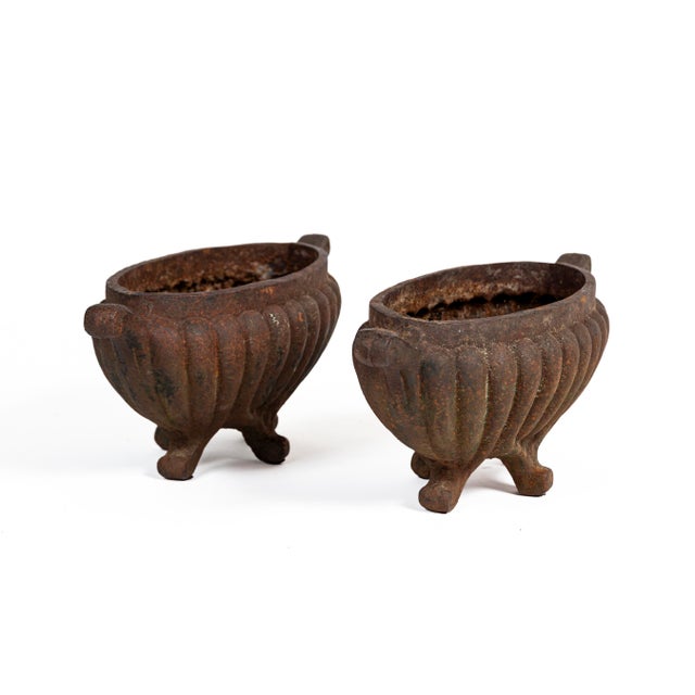 Pair Cast Iron Footed Oval Planters, France, circa 1920. Petite sized footed planters with ribbed design and handles....