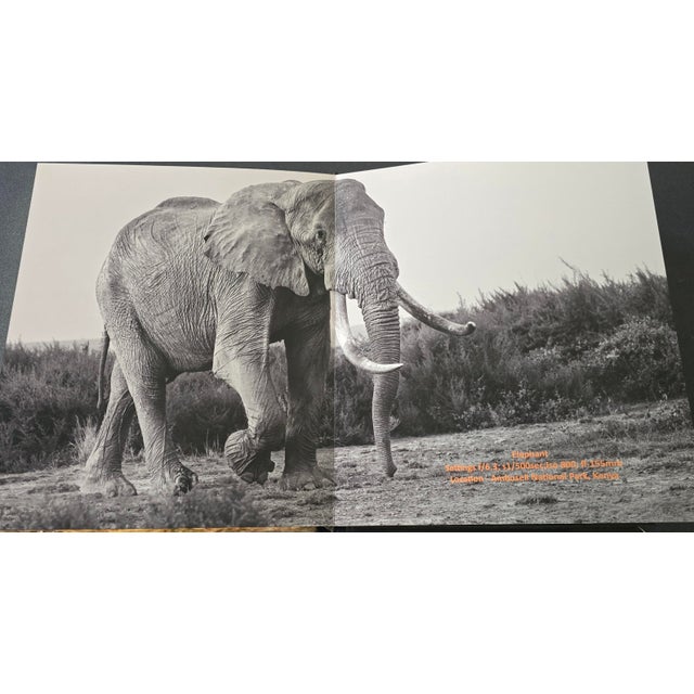Predators & the Wild Encounters Coffee Table Album For Sale - Image 11 of 17