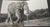 Predators & the Wild Encounters Coffee Table Album For Sale - Image 11 of 17