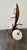 Mid Century Modern Reflecting Iconic Aesthetics Floor Lamp For Sale - Image 12 of 12